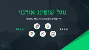 גוגל שופינג אורגני